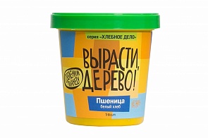 Набор для выращивания растений - Пшеница (Зеленый Капитал, zk-039)